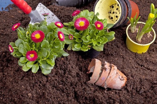 The image shows a section of a garden bed with rich, dark soil and various plants. In the foreground, there are two thriving primrose plants with bright pink and yellow flowers and densely packed green leaves. To the right, a small yellow pot contains a young plant with emerging green shoots. Behind the flowering plants, there is a terracotta flowerpot lying on its side, partially embedded in the soil, with some soil scattered nearby. In the background, a plant watering can with a yellow spout is visible, along with a partially visible gardening trowel with a red handle, suggesting recent gardening activity. The garden area appears well-maintained, with a focus on planting and soil preparation, characteristic of a typical backyard garden in Croydon, indicating outdoor planting and garden maintenance services. The setting implies a bright, slightly overcast day, with natural light evenly illuminating the scene, ideal for gardening tasks.