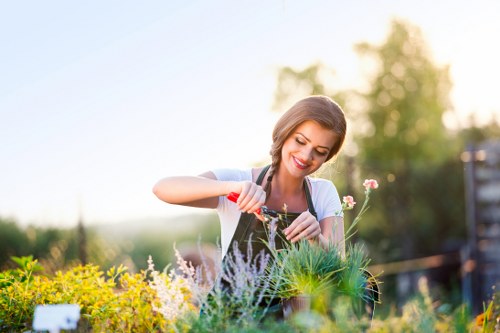 Frontline gardener checking plants in Croydon park