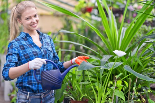 Gardener working in a Croydon front garden pruning hedges